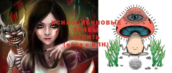 а пвп мука Горно-Алтайск