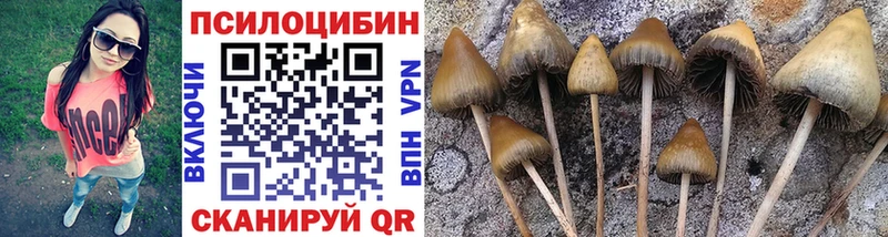 Галлюциногенные грибы мицелий  Купить закладки  Родники 
